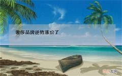 奢侈品牌逆势涨价了