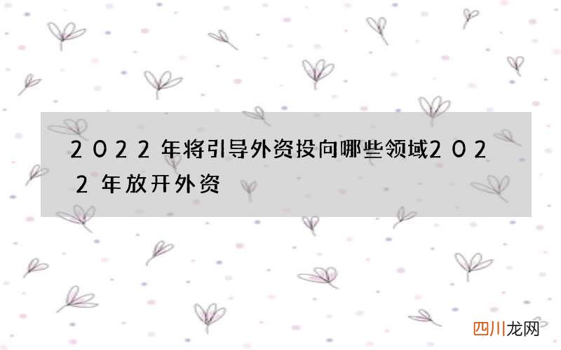 2022年将引导外资投向哪些领域 2022年放开外资