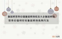 象拔蚌营养价值 象拔蚌的吃法大全象拔蚌的营养价值和好处象拔蚌的选购方法