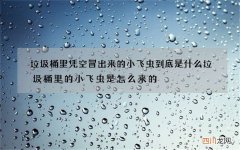 垃圾桶里凭空冒出来的小飞虫到底是什么 垃圾桶里的小飞虫是怎么来的