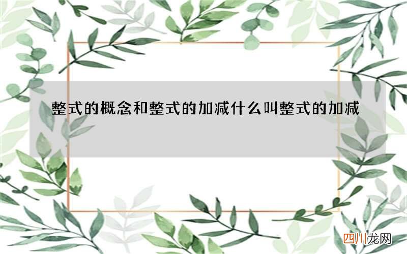 整式的概念和整式的加减 什么叫整式的加减