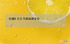 价值500万的品牌定位
