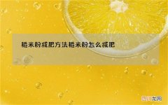 糙米粉减肥方法糙米粉怎么减肥