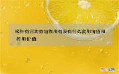 松针有何功效与作用 有没有什么食用价值和药用价值