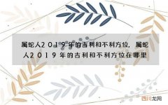 属蛇人2019年的吉利和不利方位,属蛇人2019年的吉利和不利方位在哪里