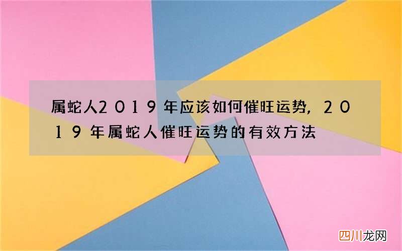 属蛇人2019年应该如何催旺运势,2019年属蛇人催旺运势的有效方法