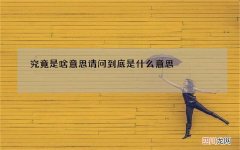 究竟是啥意思 请问到底是什么意思