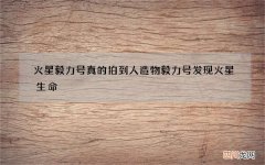 火星毅力号真的拍到人造物 毅力号发现火星生命