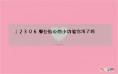 12306那些贴心的小功能你用了吗