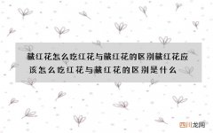 藏红花怎么吃 红花与藏红花的区别藏红花应该怎么吃红花与藏红花的区别是什
