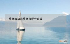 燕窝的功效 燕窝有哪些分类