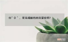 归“0”，是高端酸奶的流量密码？