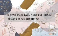 认定了就死心塌地对对方好的生肖,哪些生肖认定了就死心塌地对对方好