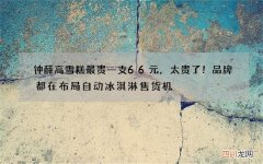钟薛高雪糕最贵一支66元，太贵了！品牌都在布局自动冰淇淋售货机