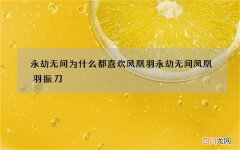永劫无间为什么都喜欢凤凰羽 永劫无间凤凰羽振刀