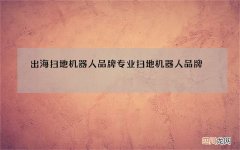 出海扫地机器人品牌 专业扫地机器人品牌