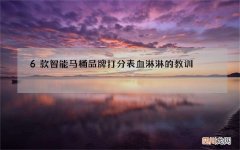 6款智能马桶品牌打分表血淋淋的教训