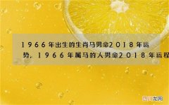 1966年出生的生肖马男命2018年运势,1966年属马的人男命2018年运程