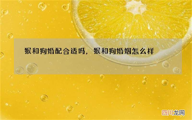 猴和狗婚配合适吗，猴和狗婚姻怎么样
