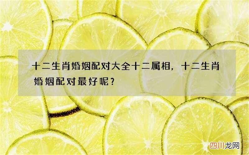 十二生肖婚姻配对大全十二属相，十二生肖婚姻配对最好呢？