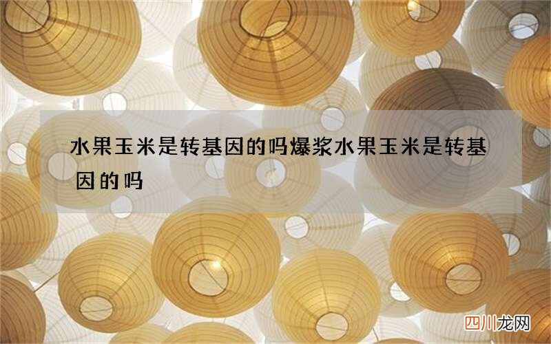 水果玉米是转基因的吗 爆浆水果玉米是转基因的吗