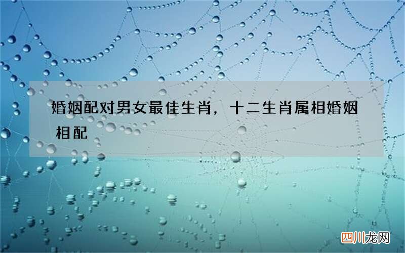 婚姻配对男女最佳生肖，十二生肖属相婚姻相配