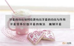 洋姜的功效 如何吃更有效洋姜的功效与作用洋姜营养价值洋姜的做法　腌制洋