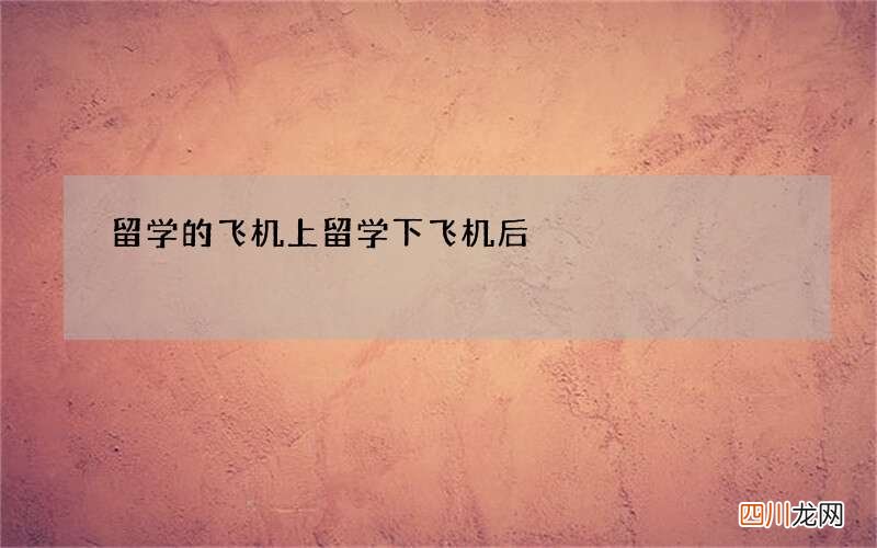 留学的飞机上 留学下飞机后