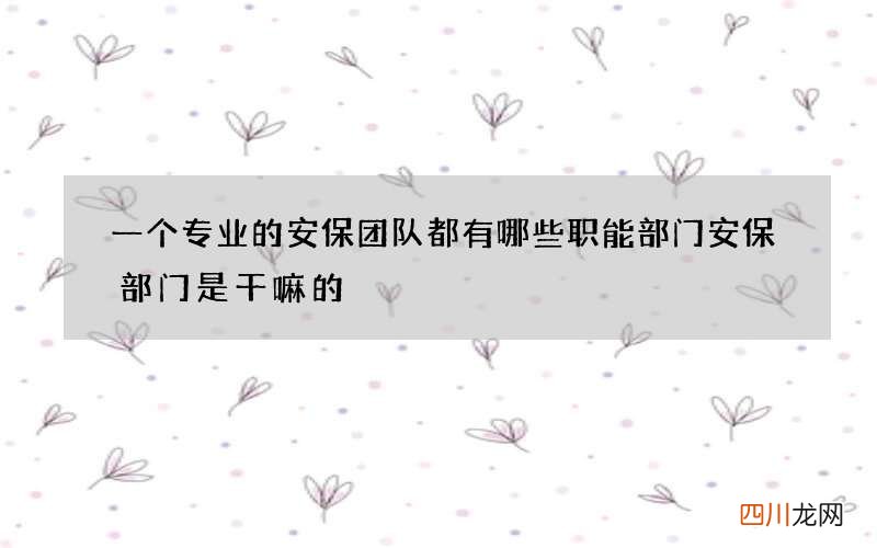 一个专业的安保团队都有哪些职能部门 安保部门是干嘛的