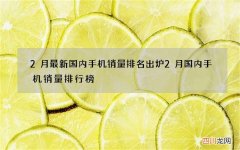2月最新国内手机销量排名出炉 2月国内手机销量排行榜