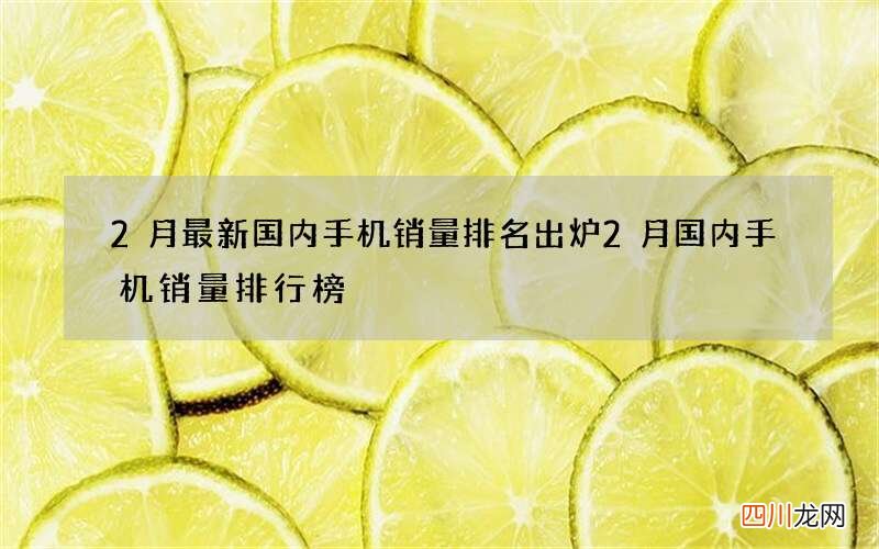 2月最新国内手机销量排名出炉 2月国内手机销量排行榜
