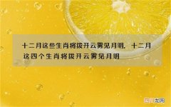 十二月这些生肖将拨开云雾见月明,十二月这四个生肖将拨开云雾见月明