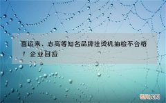 喜运来、志高等知名品牌挂烫机抽检不合格！企业回应