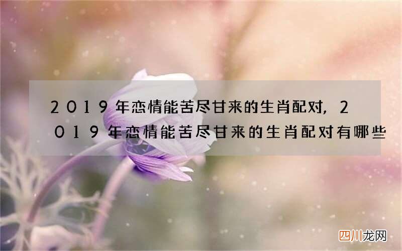 2019年恋情能苦尽甘来的生肖配对,2019年恋情能苦尽甘来的生肖配对有哪些