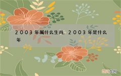 2003年属什么生肖,2003年是什么年