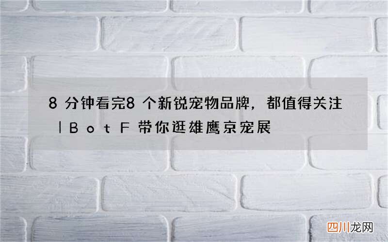 8分钟看完8个新锐宠物品牌，都值得关注｜BotF带你逛雄鹰京宠展