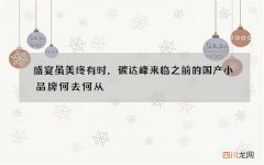 盛宴虽美终有时，碳达峰来临之前的国产小品牌何去何从