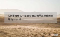 买钢琴为什么一定要看德国钢琴品牌 德国钢琴为什么好