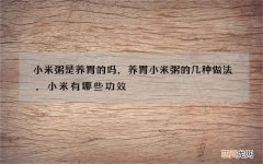 小米粥是养胃的吗，养胃小米粥的几种做法，小米有哪些功效