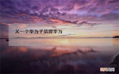 又一个华为子品牌 华为 子品牌