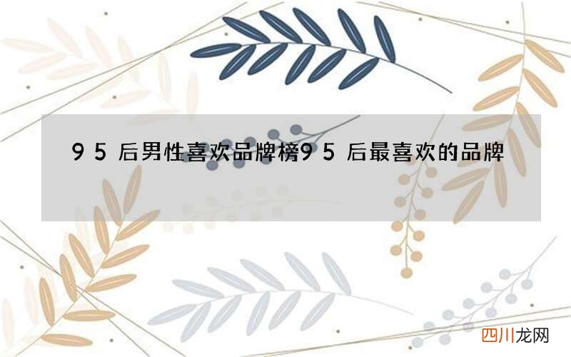95后男性喜欢品牌榜 95后最喜欢的品牌
