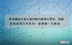 昨天聊起王者之战钓的万峰湖大罗非，质量差的鱼钩几乎是钓一条鱼换一次鱼钩