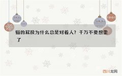 猫的屁股为什么总是对着人？千万不要想歪了