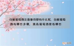 自酿葡萄酒注意事项都有什么呢,自酿葡萄酒有哪些步骤,挑选葡萄酒要看哪些