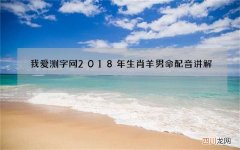 我爱测字网2018年生肖羊男命配音讲解