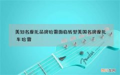 美知名摩托品牌哈雷面临转型 美国名牌摩托车哈雷