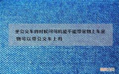 坐公交车的时候问司机能不能带宠物上车 宠物可以带公交车上吗