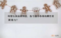 母婴后浪品牌频出，各个细分市场有哪些发展潜力？