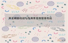 荠菜根的功效与作用 荠菜的营养功效