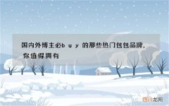 国内外博主必buy的那些热门包包品牌，你值得拥有